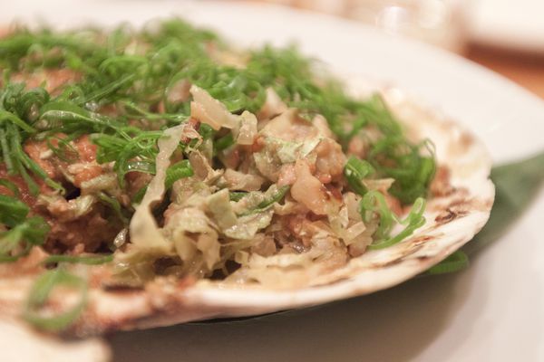 赤綠 TAIWANIPPON - 7