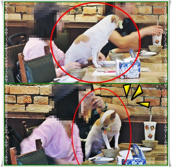 吳阿水老茶館(原吳阿火打邊爐):✜ 妖受骨?! 餐點美味但團購、自費兩樣情滴網路口碑餐廳 -「吳阿水老茶館」╮(﹀_﹀