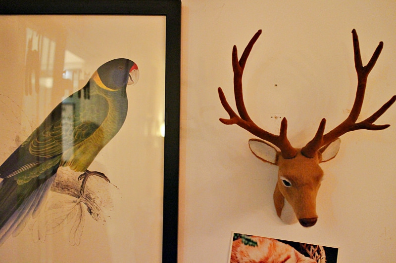 屋頂上的貓私廚