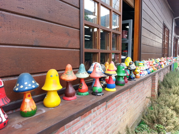 豐年靈芝菇類生態農場：[南投][景點]豐年生態農場~吃菇採菇好好玩