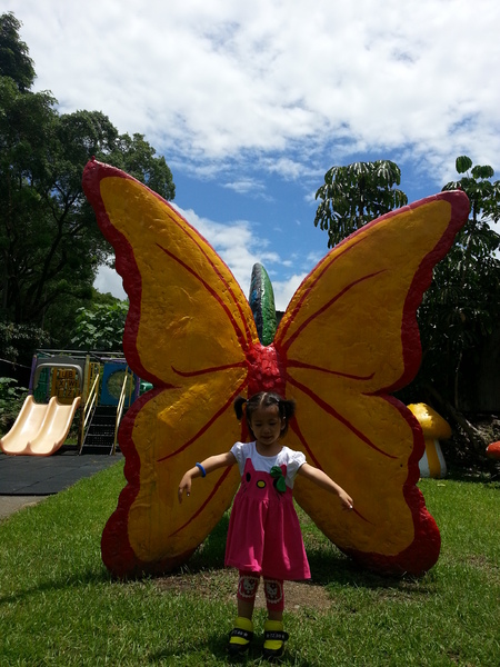 豐年靈芝菇類生態農場：[南投][景點]豐年生態農場~吃菇採菇好好玩