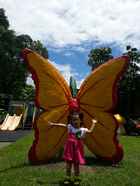 豐年靈芝菇類生態農場：[南投][景點]豐年生態農場~吃菇採菇好好玩