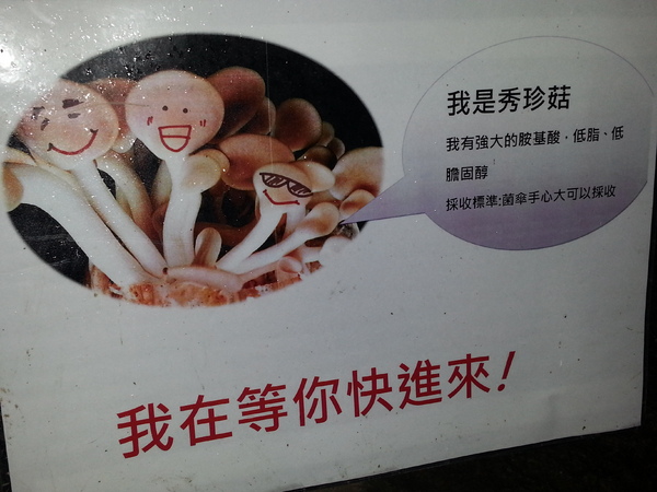 豐年靈芝菇類生態農場：[南投][景點]豐年生態農場~吃菇採菇好好玩