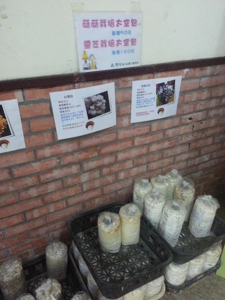 豐年靈芝菇類生態農場：[南投][景點]豐年生態農場~吃菇採菇好好玩