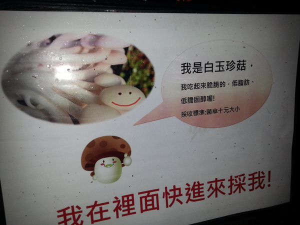 豐年靈芝菇類生態農場：[南投][景點]豐年生態農場~吃菇採菇好好玩