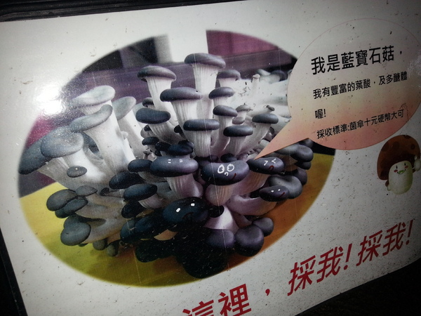 豐年靈芝菇類生態農場：[南投][景點]豐年生態農場~吃菇採菇好好玩