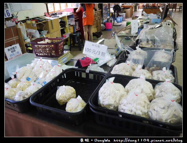 【南投遊記】埔里。豐年農場。菇菇生態導覽