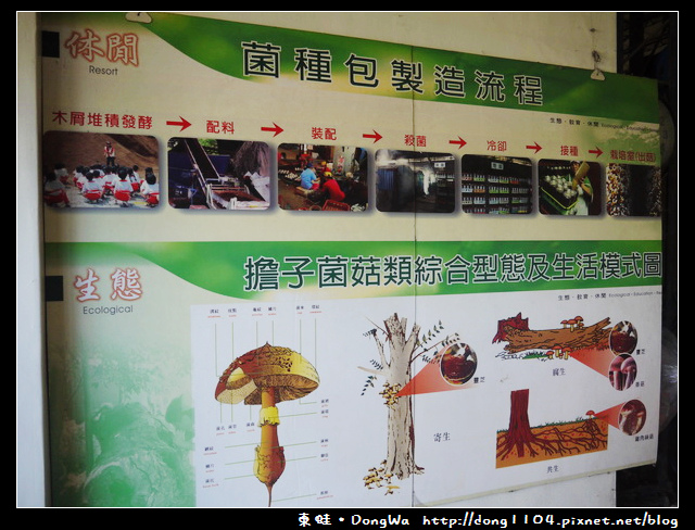 【南投遊記】埔里。豐年農場。蝶谷巴特DIY。香菇太空包DIY