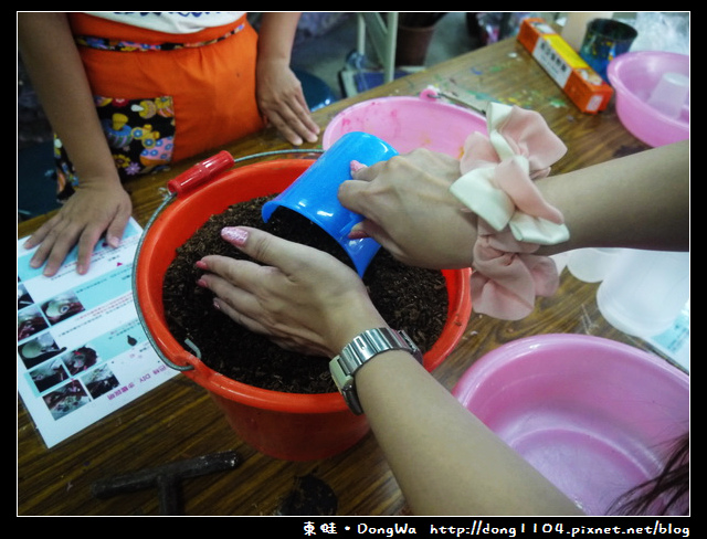 【南投遊記】埔里。豐年農場。蝶谷巴特DIY。香菇太空包DIY