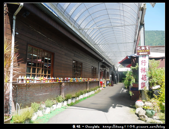 【南投遊記】埔里。豐年農場。菇菇生態導覽