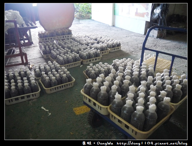 【南投遊記】埔里。豐年農場。蝶谷巴特DIY。香菇太空包DIY