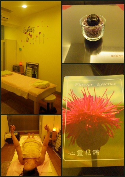 芳悅家:【芳悅家】心靈花語˙開啟身心靈的一扇窗