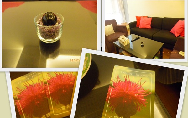 芳悅家:【芳悅家】心靈花語˙開啟身心靈的一扇窗