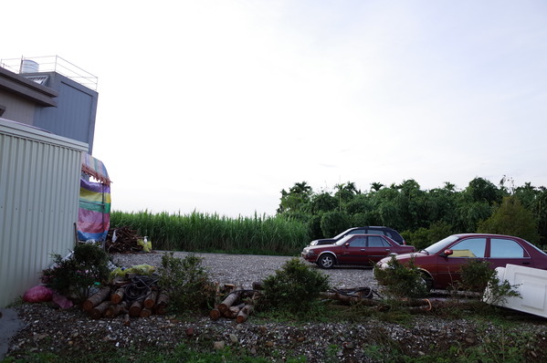 麵五三屋台ラーメン:【南投。草屯】麵五三屋台ラーメン