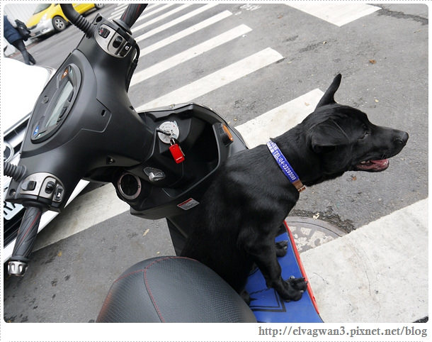 台中-中興租車行-中興旅遊包車-台中租車推薦-近火車站-原皇佳租車行-台中租車-台中一日遊-動漫彩繪巷-海賊動漫巷-新繹旅店-樂昂咖啡-LOVE ONE-嘉味軒太陽餅-淇淇太陽餅-台中逢甲夜市-45-513-1