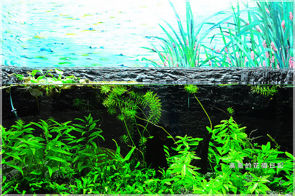 板橋435藝文特區:【新北】板橋區。板橋435藝文特區