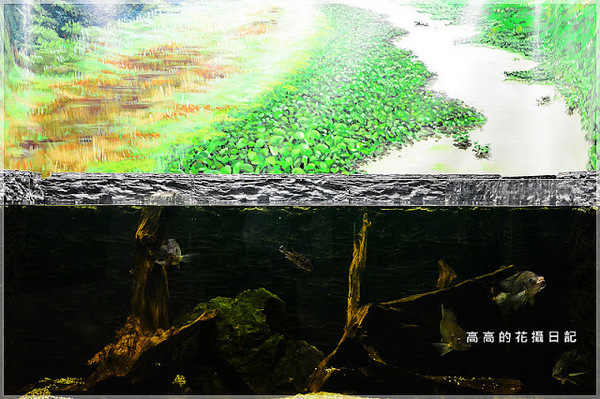 板橋435藝文特區:【新北】板橋區。板橋435藝文特區