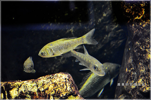 板橋435藝文特區:【新北】板橋區。板橋435藝文特區