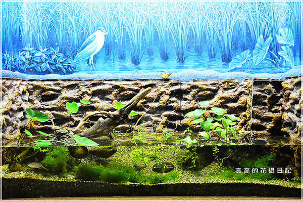 板橋435藝文特區:【新北】板橋區。板橋435藝文特區