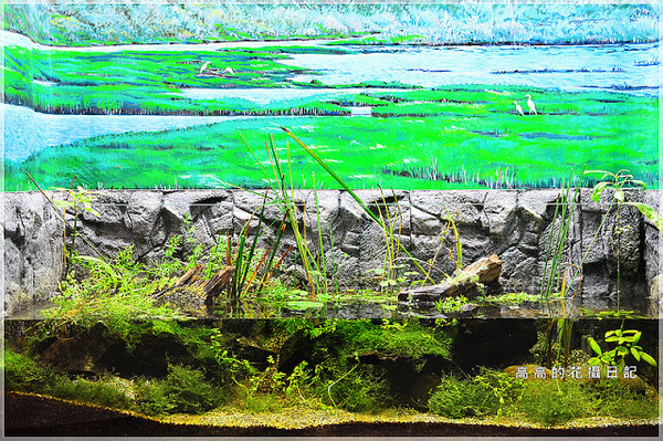 板橋435藝文特區:【新北】板橋區。板橋435藝文特區