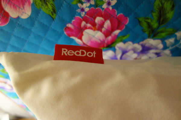 紅點文旅：1031230[官本金文愛台灣]台中市中區RedDot紅點文旅巨型不鏽鋼溜滑梯文青工藝風地表上最潮旅店近中華夜市日新戲院旁