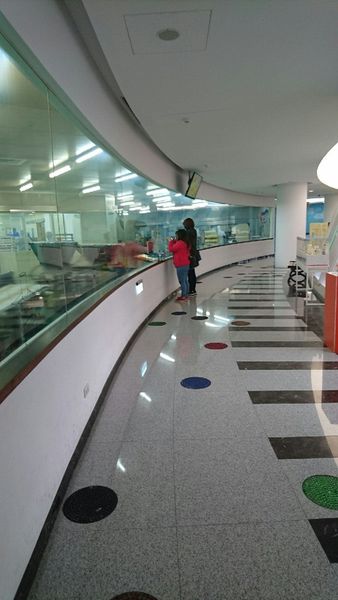 20160309 長崎蛋糕_3058