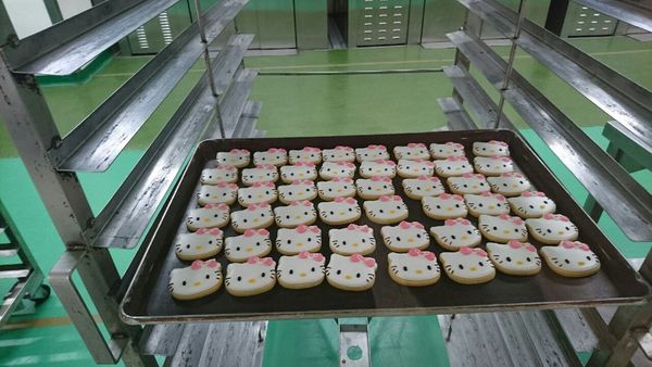 20160309 長崎蛋糕_5891