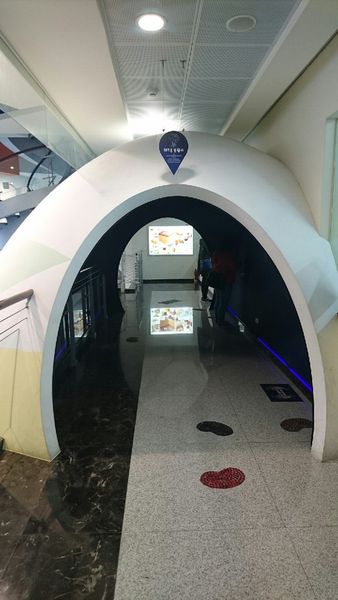 20160309 長崎蛋糕_3596