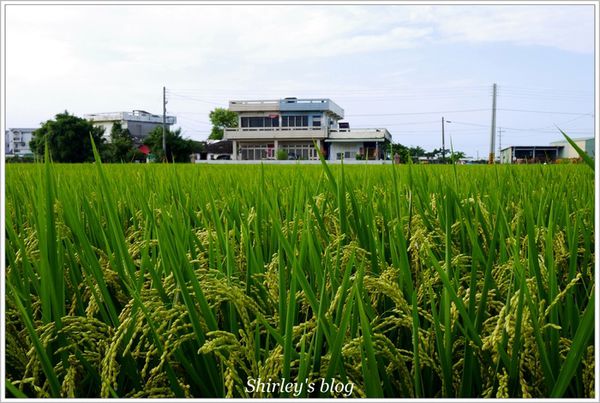 古堡party餐廳：宜蘭‧古堡party餐廳