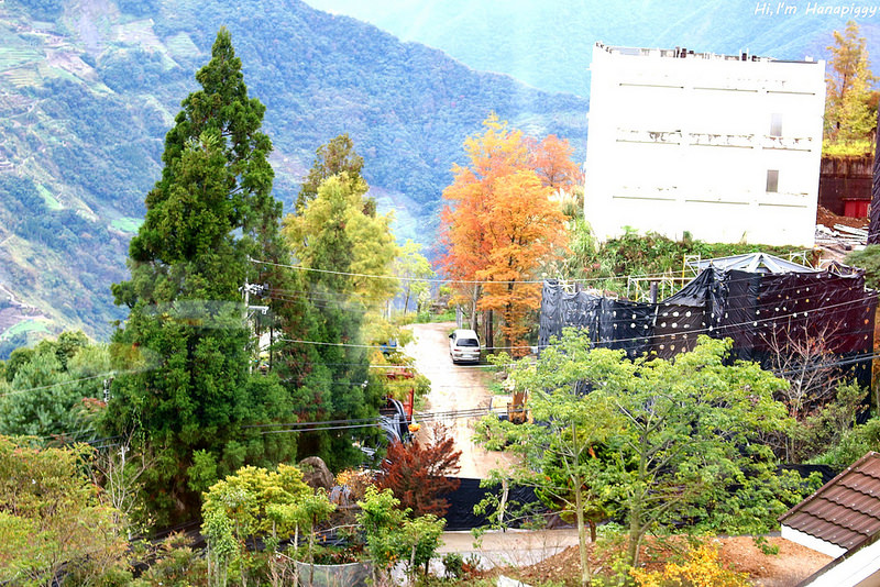 清境嵐山小鎮民宿 (24)