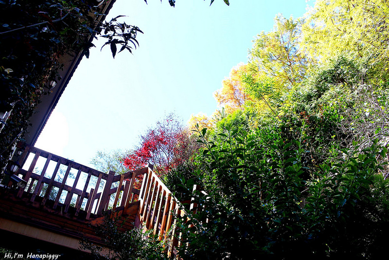 清境嵐山小鎮民宿 (51)