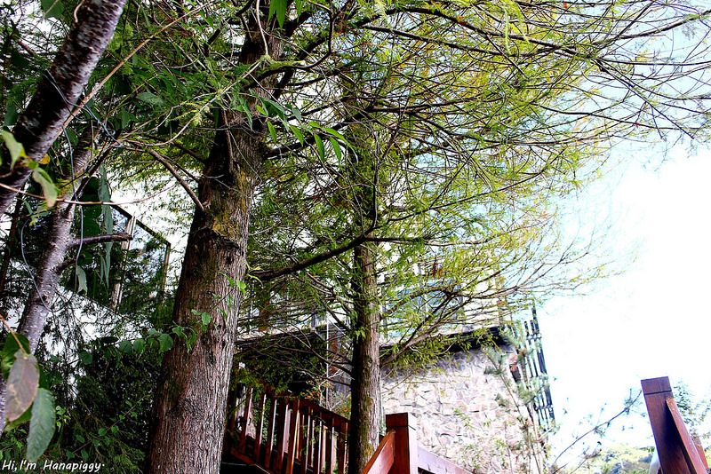 清境嵐山小鎮民宿 (44)