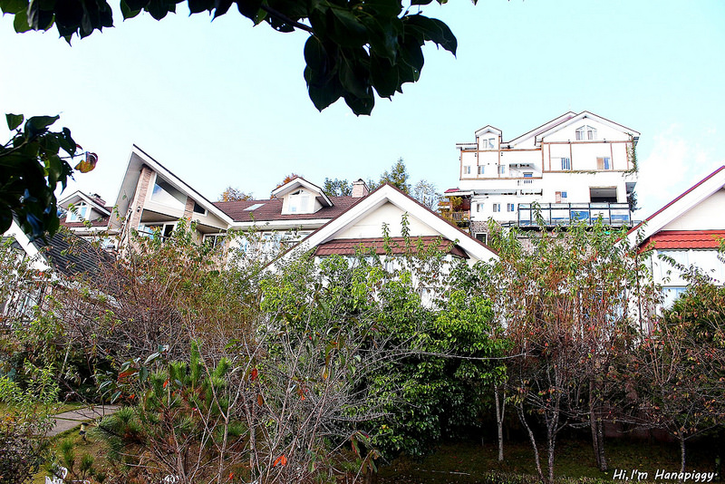 清境嵐山小鎮民宿 (50)