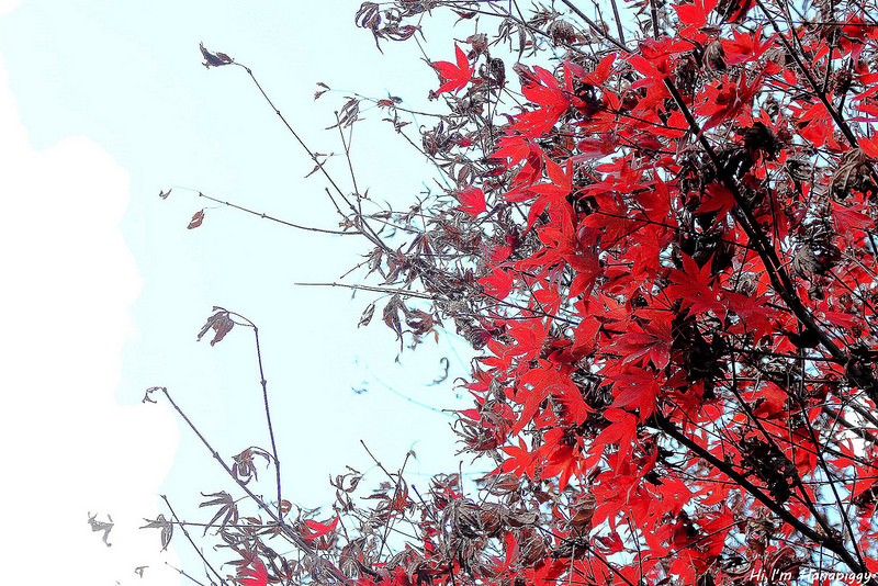 清境嵐山小鎮民宿 (47)