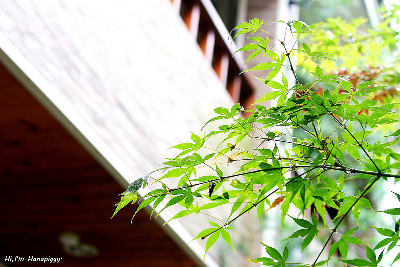 清境嵐山小鎮民宿 (15)