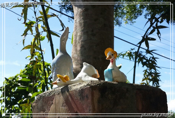 315 coffee：▪ 花蓮~ 預約限定手作咖啡-315 coffee