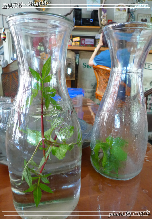 315 coffee：▪ 花蓮~ 預約限定手作咖啡-315 coffee