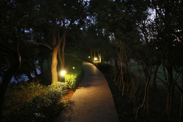 【桃園旅遊景點】八德埤塘生態公園-腹地廣大的親子公園