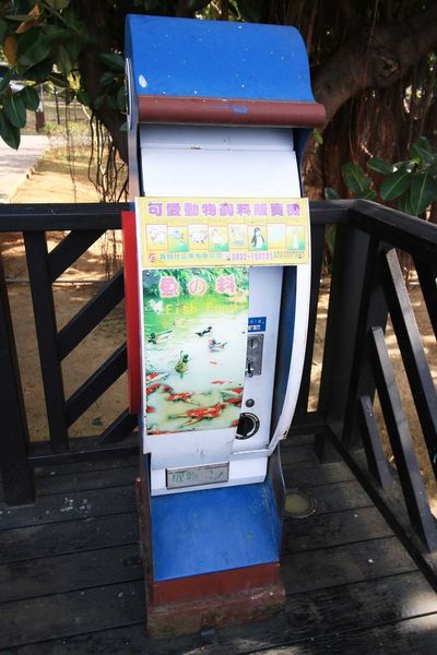 【桃園旅遊景點】八德埤塘生態公園-腹地廣大的親子公園