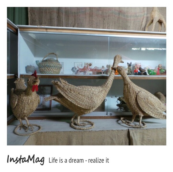 蓮荷園休閒農場：蓮荷園休閒農場~稻草博物館