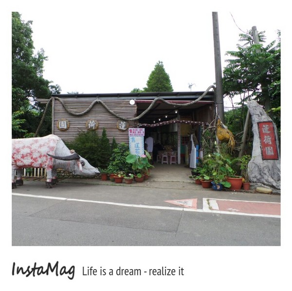 蓮荷園休閒農場：蓮荷園休閒農場~稻草博物館