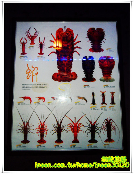 信燒烤：【台南-中西區】日式居酒屋...以