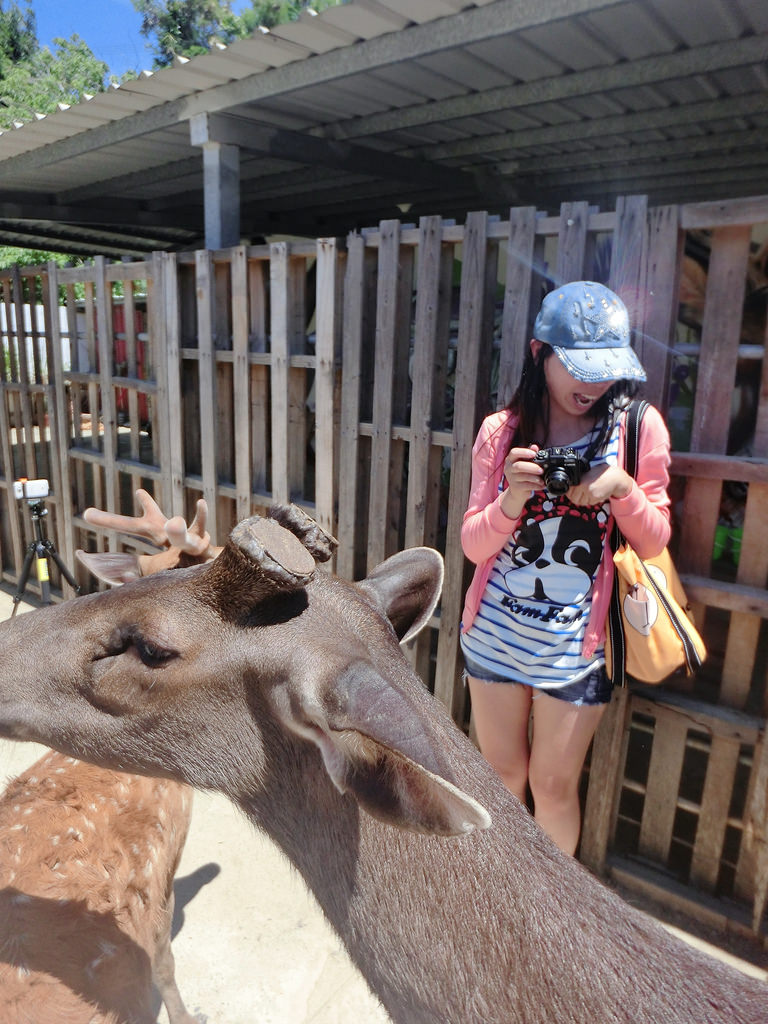 20150618~19墾丁❥兔兔拍攝上_4639