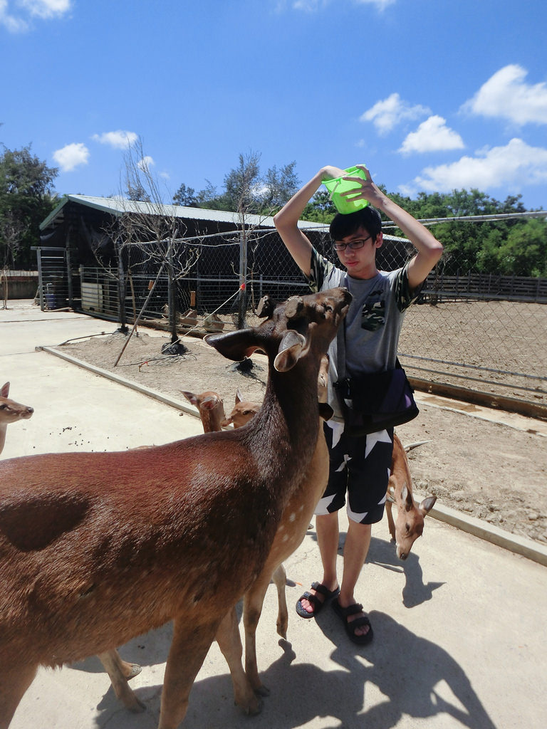 20150618~19墾丁❥兔兔拍攝上_4995