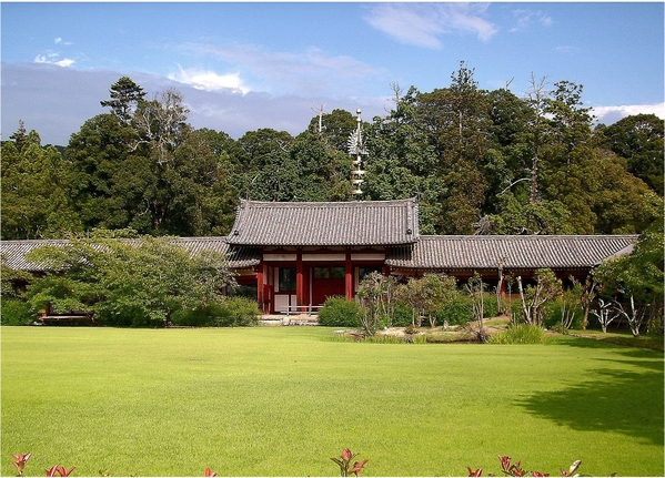 東大寺:浪漫關西~奈良公園篇