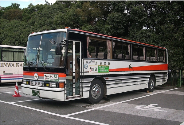 東大寺:浪漫關西~奈良公園篇