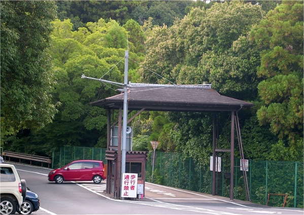 東大寺：浪漫關西~奈良公園篇