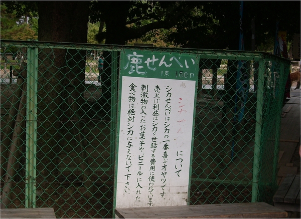 東大寺:浪漫關西~奈良公園篇