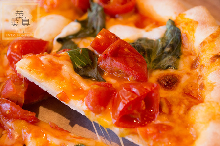 經典蜜熊 瑪格莉特披薩