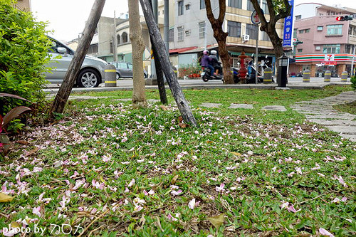 29_台南新化武德殿